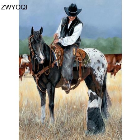 Аппалуза вестерн лошадь