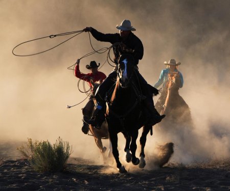 Дикий запад ковбои
