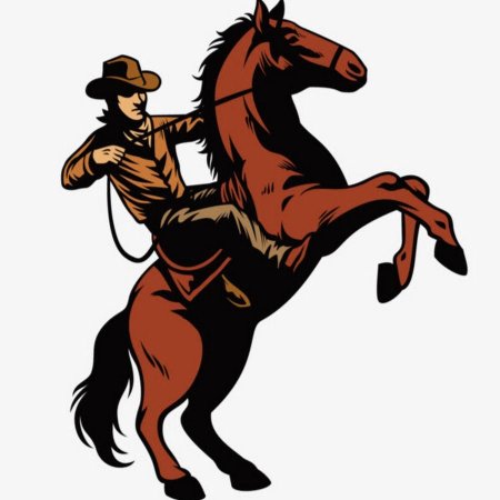 Ковбои на лошади