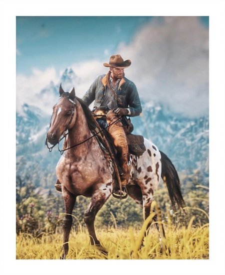 Лошадь ковбоя