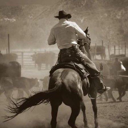 Дикий запад ковбои