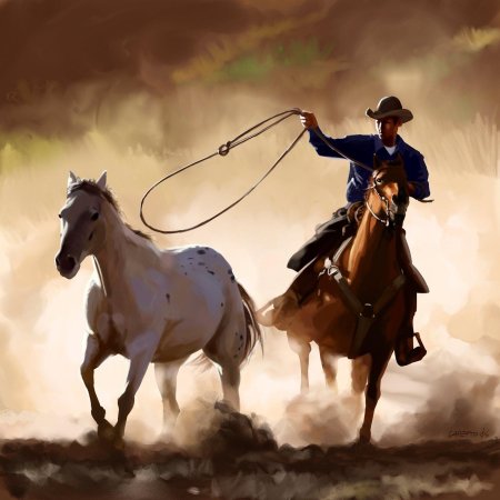 Дикий запад ковбои