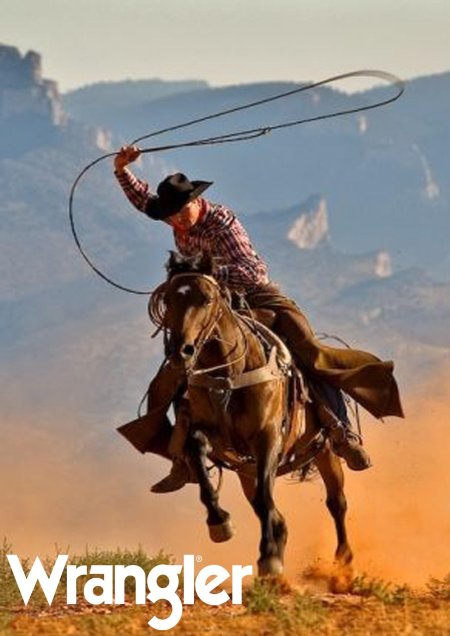 Лошадь ковбоя