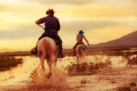 Ковбои родео дикий запад