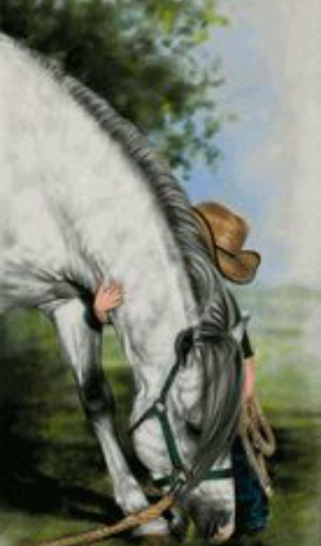 Лошади лесли харрисон