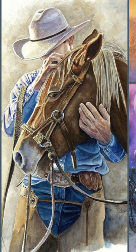 Ковбои на лошади