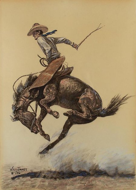 Ковбой родео