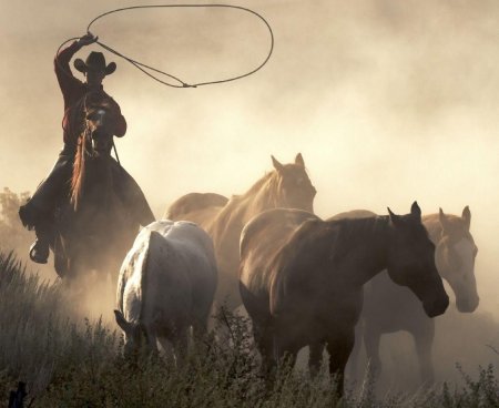 Лассо ковбоя