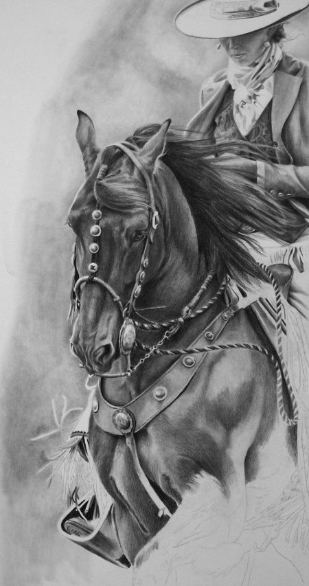 Ковбои на лошади