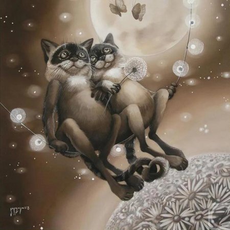 Коты надежды соколовой