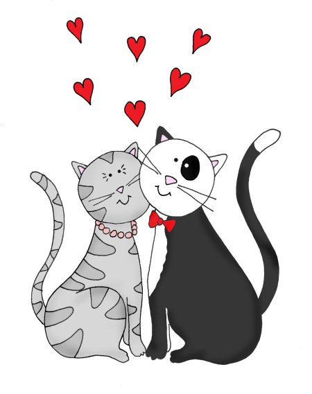 Влюбленные коты