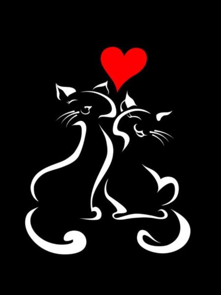 Влюбленные котики