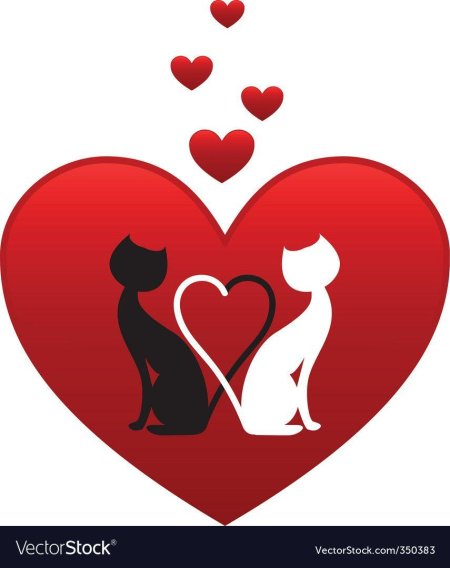 Влюбленная кошка