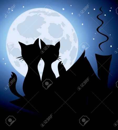 Коты на крыше