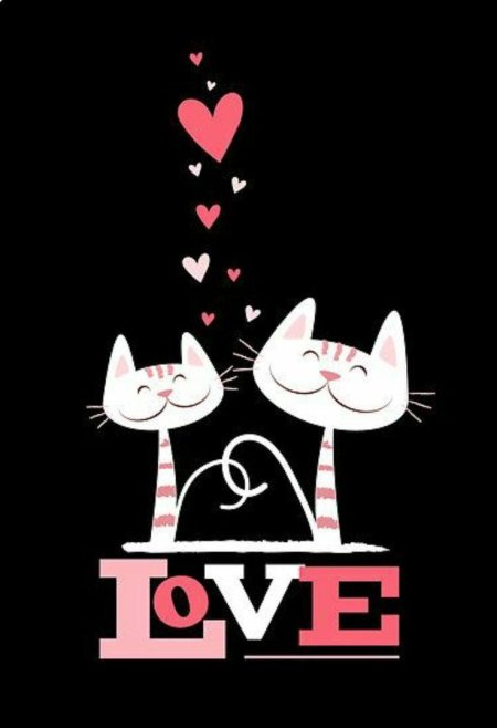 Влюбленные котики