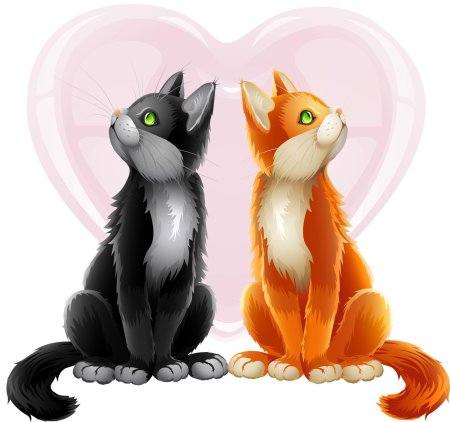 Влюбленные коты