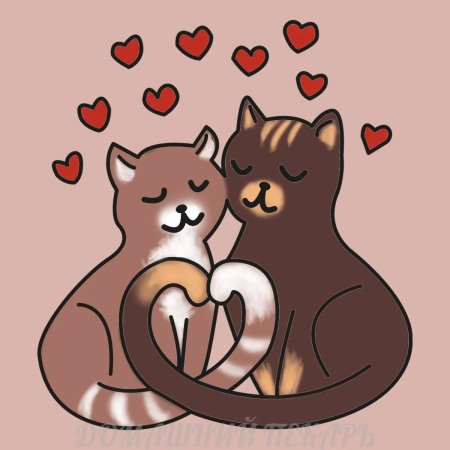Влюбленные коты