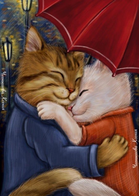 Котик под зонтиком