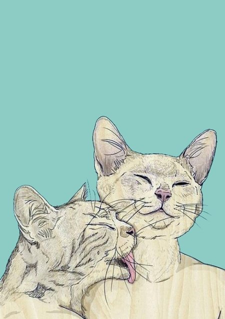 Котики любовь рисунки