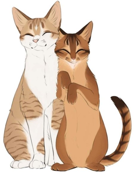 Коты воители джейк и мускатка