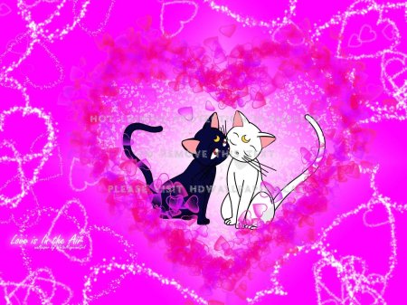 Сейлормун луна и артемис коты