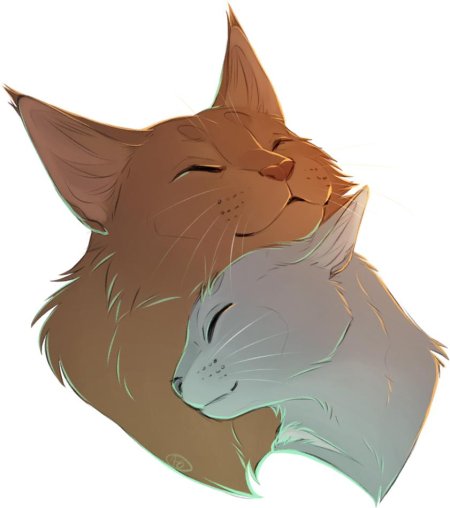 Коты воители синяя звезда и желудь