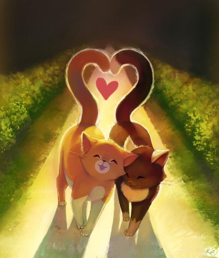 Влюбленные кошки