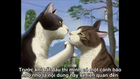 Кошка любовь