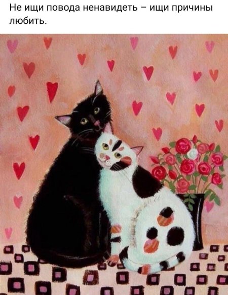 Кошки любовь