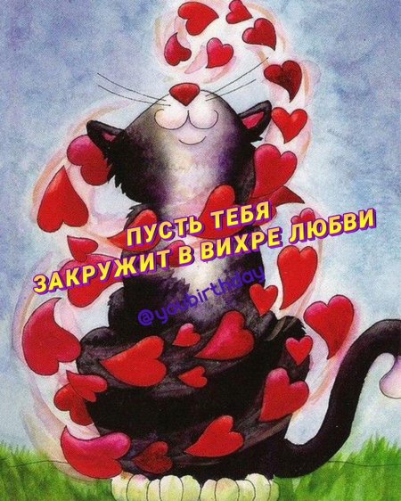 Влюбленный кот