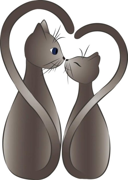 Влюбленные коты