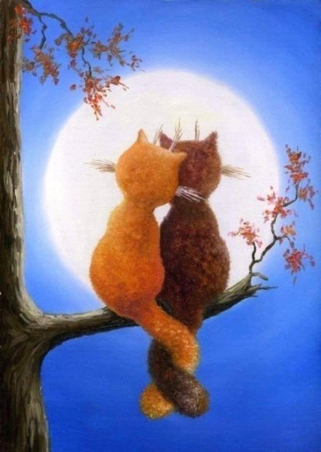 Влюбленные котики