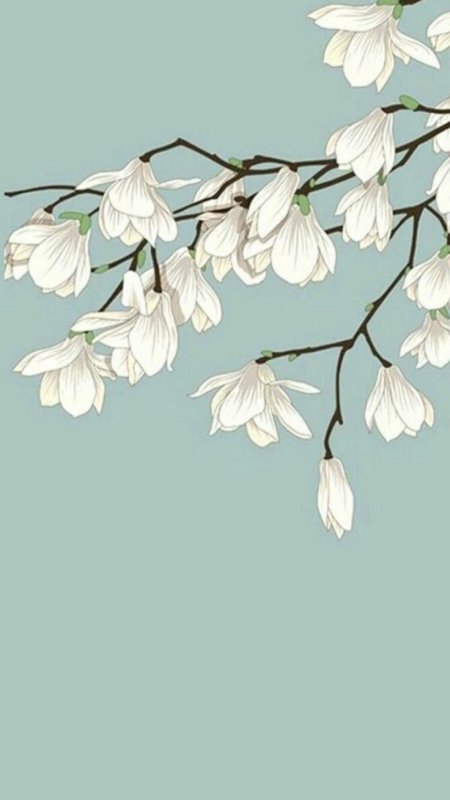 Весенние цветы минимализм