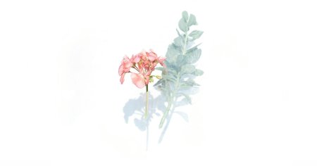 Цветок минимализм