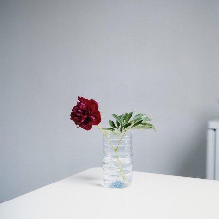 Цветок минимализм