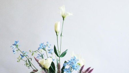 Минимализм цветы