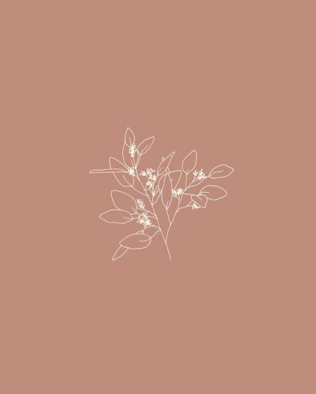 Эстетика бежевого цвета