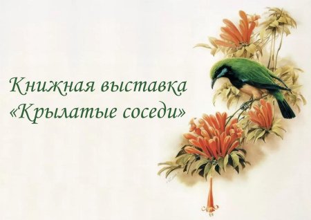 Китайская живопись цветы и птицы