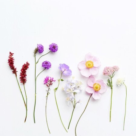 Цветы из пинтереста