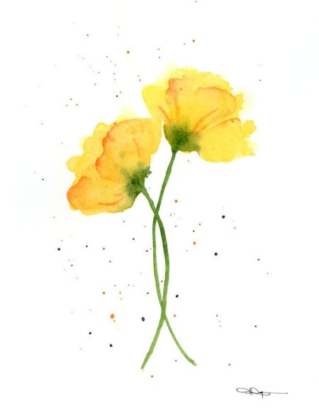 Желтые цветы акварель
