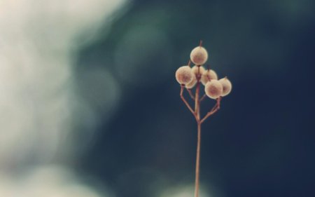 Минимализм природа