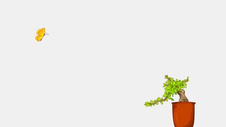 Бонсай денежное дерево