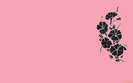 Цветок минимализм