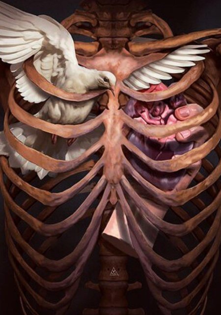 Скелет с сердцем