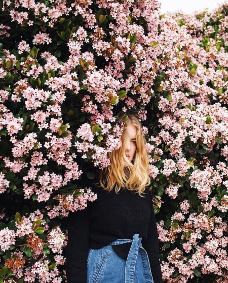 Цветы для инсты