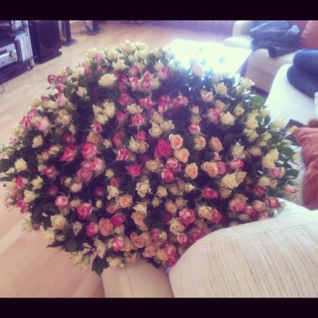 Букет цветов красивые