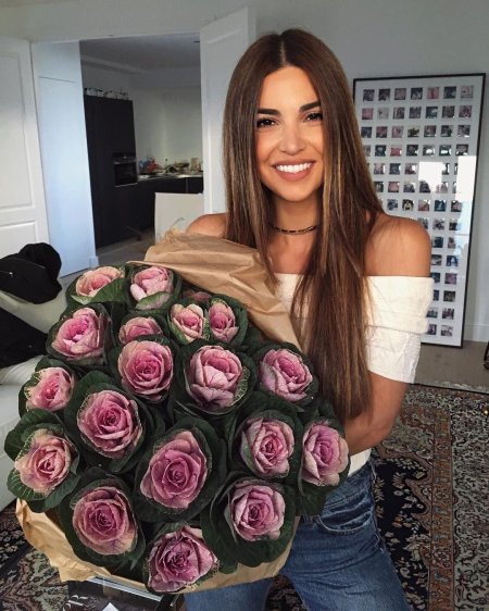 Негин мирсалехи