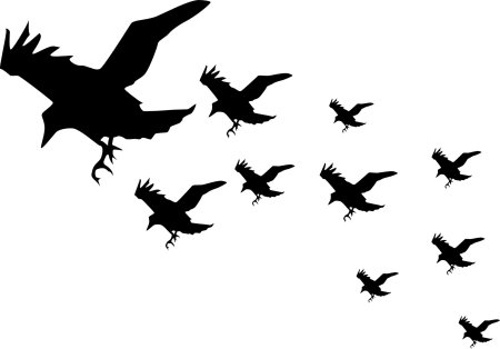 Силуэты птиц в небе