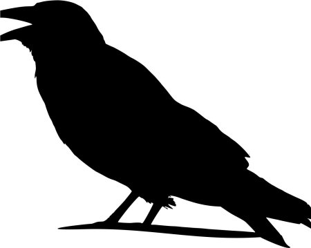 Силуэт ворона