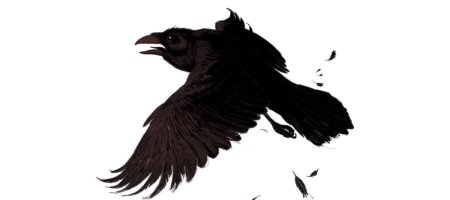 Ворона на прозрачном фоне